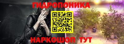 apvp Бийск