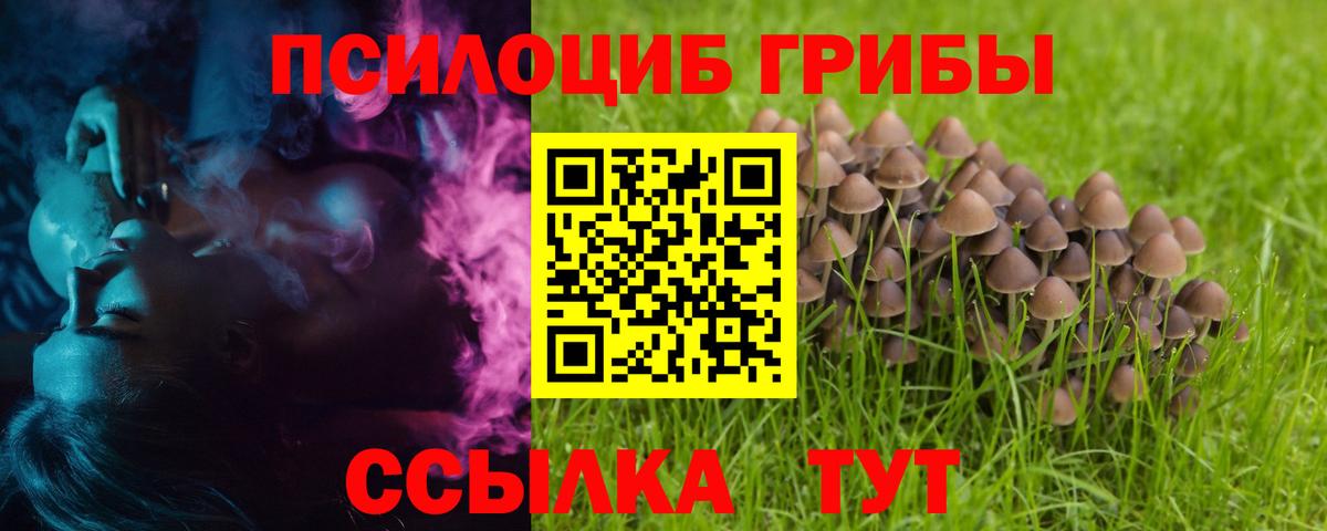 Карачаевск  Галлюциногенные грибы Magic Shrooms  Вход с VPN  Галлюциногенные грибы GOLDEN TEACHER 